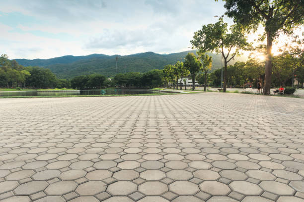 Professional Driveway Pavers in Sheridan, CA